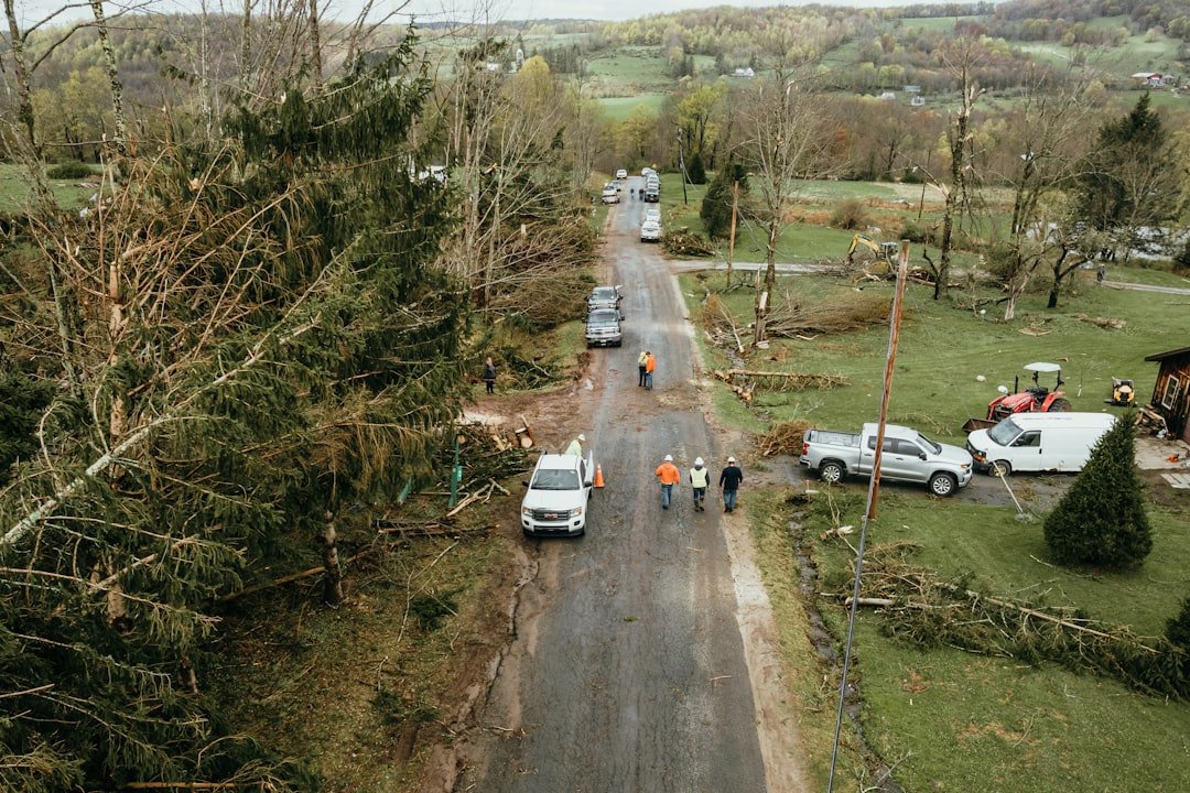 Illustration emergency tree removal after severe weather