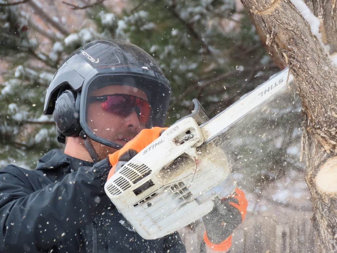 Équipements de sécurité spécialisés pour l'élagage après tempête : harnais, casque forestier, longes