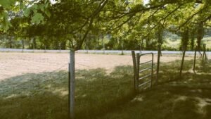Servitudes d&rsquo;arbres et droits du voisinage : Guide complet de la réglementation 2026